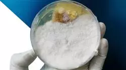 ##IMAGE##